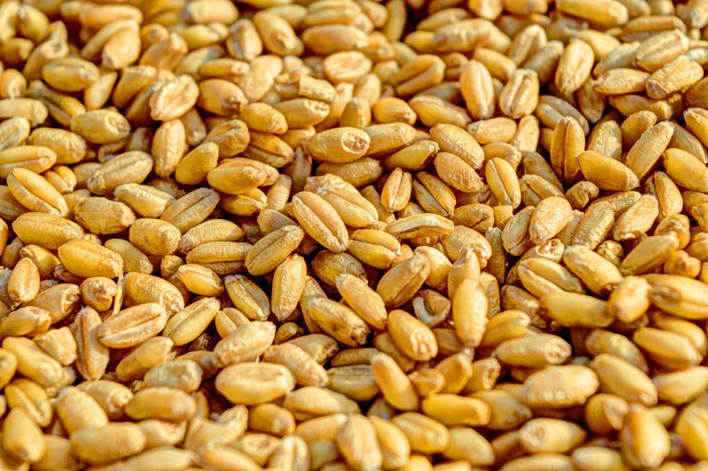 whole grain